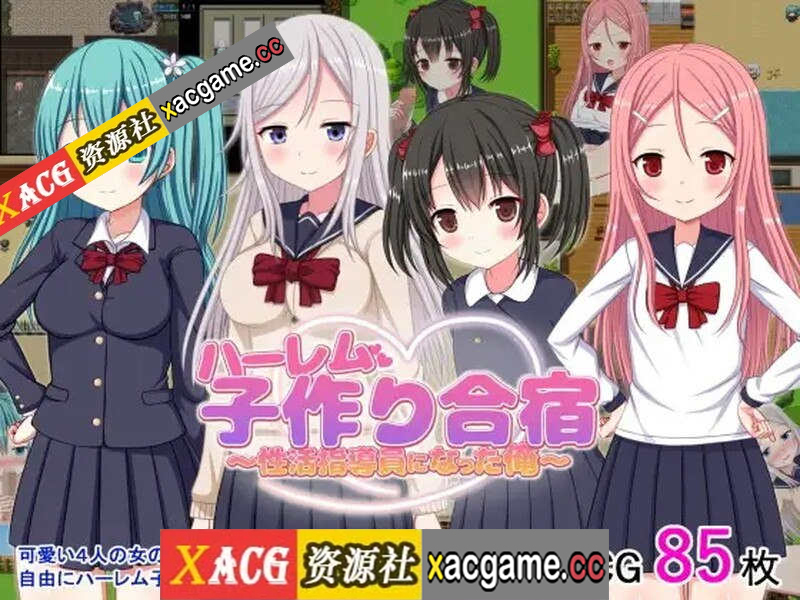 【电脑PC+安卓+IOS/探索RPG/后宫萝莉】我成了性活动指导员（ハーレム子作り合宿 ～性活指導員になった俺～）V1.0 汉化中文[765M]